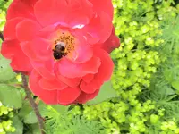DSC03876.webp