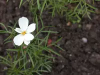 DSCN6908.webp
