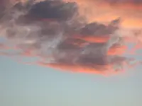 DSCN6888.webp