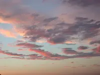 DSCN6894.webp