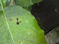 DSC00361.webp