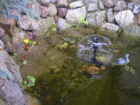 flachzone 1.webp