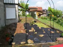 100_0861.webp