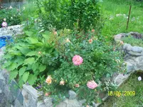100_1851.webp