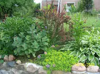 100_1855.webp