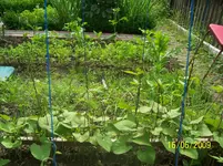 100_1853.webp