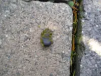 P1010005.webp