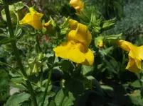 dscf3251.webp