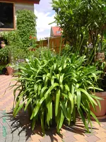 PICT2745.webp