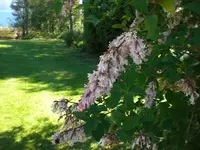 CIMG7324.webp