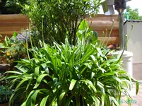 PICT2747.webp