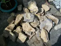 100_0878.webp