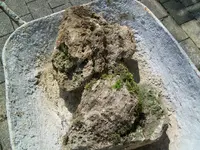 100_0877.webp