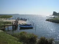 020.webp