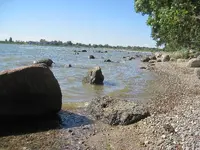 023.webp