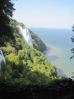057.webp