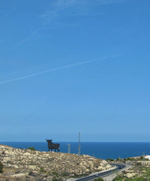 spanischer Stier spanien.webp