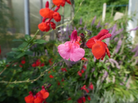 P1190820.webp