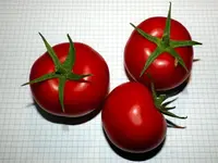 Tomate_Licor_F1_reif.webp