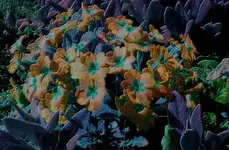 neonic_spring_p3.webp