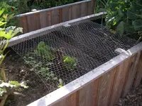 IMGP6998.webp