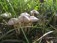 IMGP6994.webp