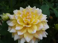 Seattle.webp