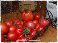 238.webp