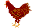 huhn-0062.gif