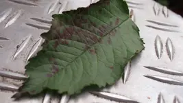 P1011691 (Mobile).webp
