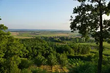 Fernsicht.webp