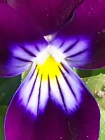 032.webp