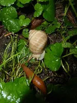 P1190911.webp