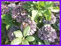 020.webp