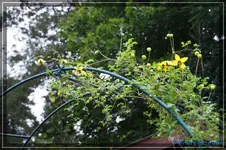 comp_DSC02242.webp