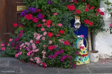 IMG_5083.webp