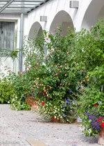 IMG_5067.webp