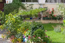 IMG_5076.webp