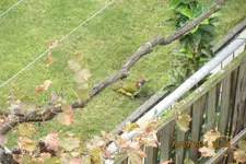 IMG_0268.webp