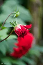 IMG_5829.webp