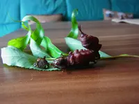 004.webp