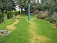 DSCF0368.webp