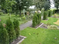 DSCF0384.webp