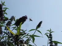 002.webp