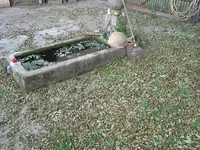006.webp
