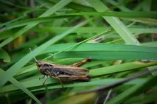 DSCF7790 (2).webp