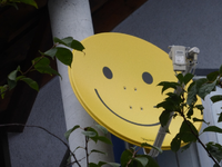P1200020.webp