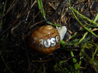 P1190916.webp