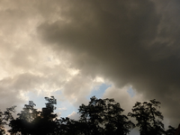 P1200161.webp
