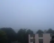 Nebel.webp